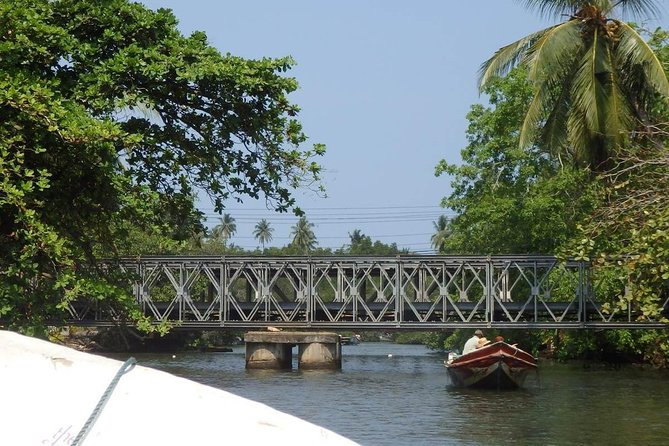Madu River Boat Safari Balapitiya - Learning about cinnamon on Cinnamon Island