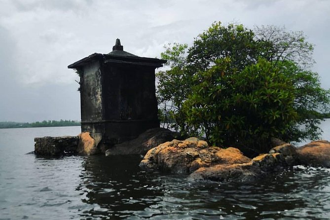Madu River Boat Safari Balapitiya - Timing, price, and what the $29 covers