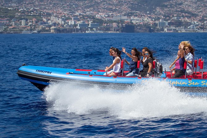 Magic Dolphin Sea Safaris - Key points to know before boarding
