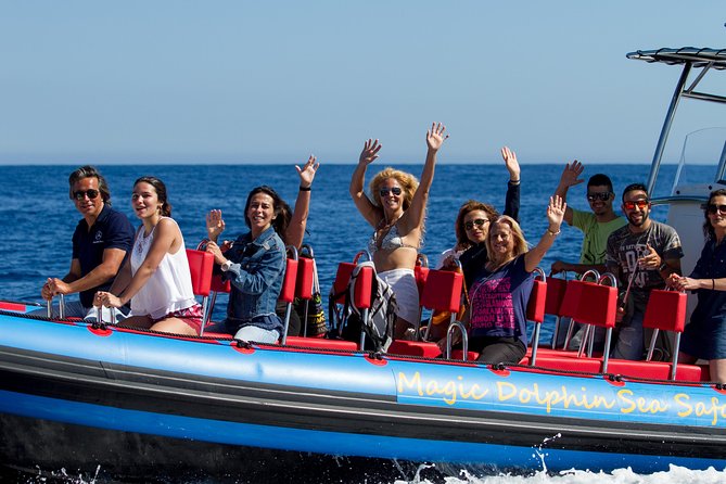 Magic Dolphin Sea Safaris - The wildlife you may see around Madeira