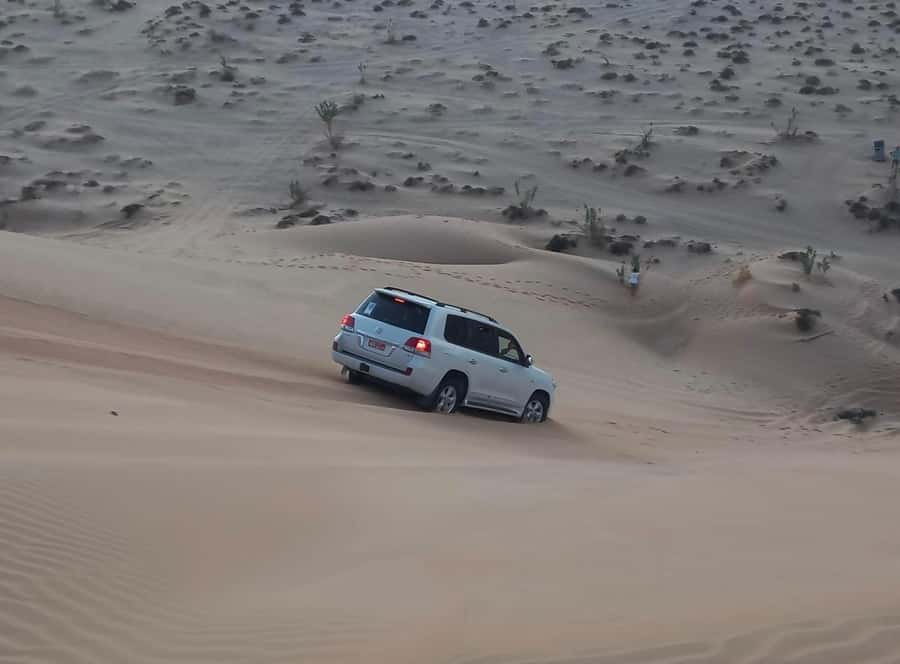 Magical Desert Safari By Land Cruise in Empty Quarter - Key points before you book