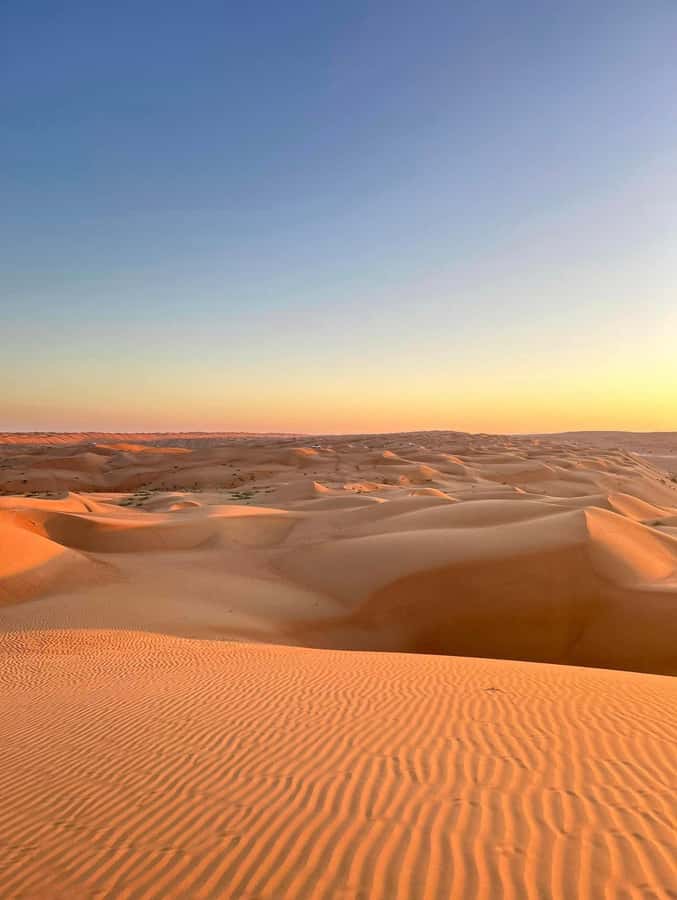 Magical Desert Safari By Land Cruise in Empty Quarter - Frankincense at the Natural Park