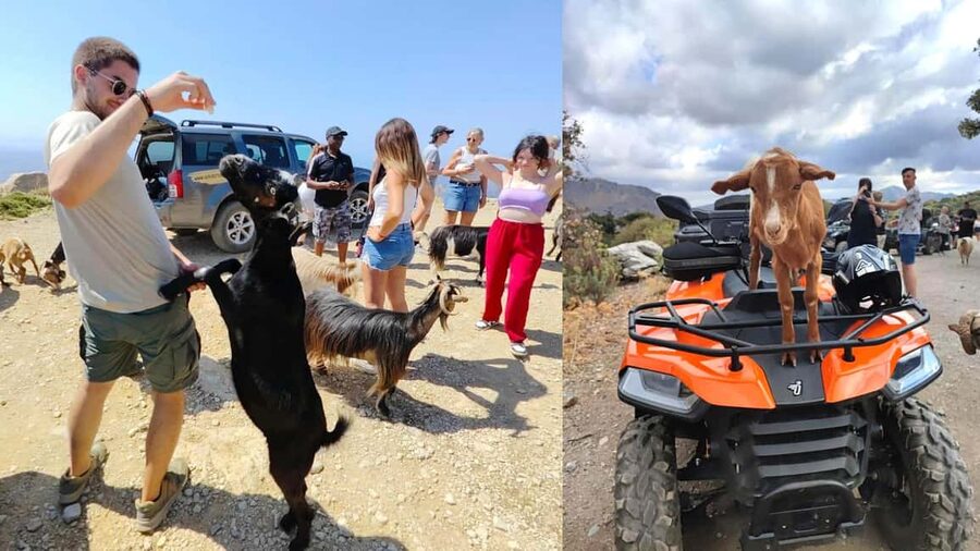 Malia: Off-Road Quad Safari Tour with Lunch and Transfers - Key points at a glance