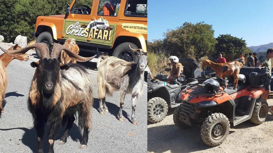 Malia: Off-Road Quad Safari Tour with Lunch and Transfers - What the six-hour route actually feels like