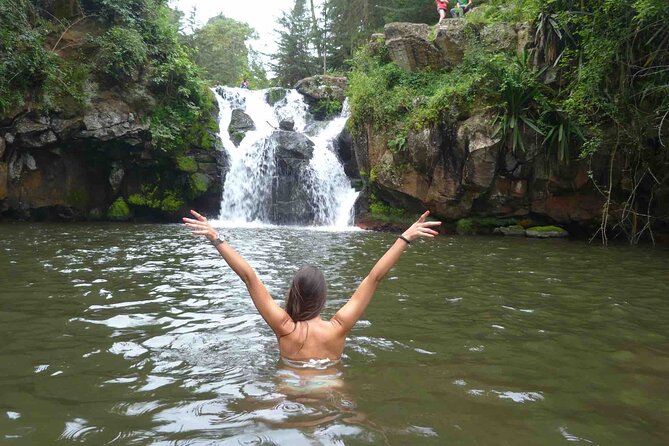 Marangu waterfall & Coffee making Cultural Tour | BURIGI CHATO SAFARIS CO LTD - Key things to know before you book