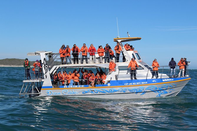 Marine Big 5 Full Day Guided Return Transfer Cape Town - Gansbaai - Who should book this day trip?