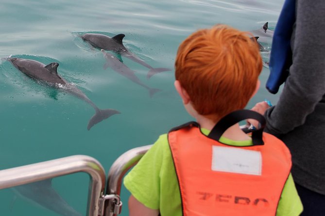 Marine Big 5 Safari full day trip from Cape Town - The boat, the weather, and seasickness