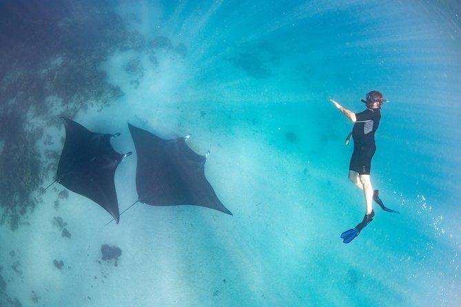 Marine Eco Safari - Swim with Manta Rays - A full day built around Ningaloo’s wildlife