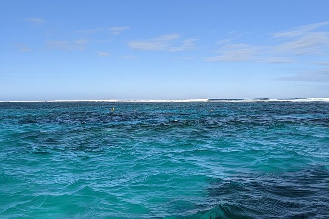 Marine Eco Safari - Swim with Manta Rays - Crew support, safety, and marine care