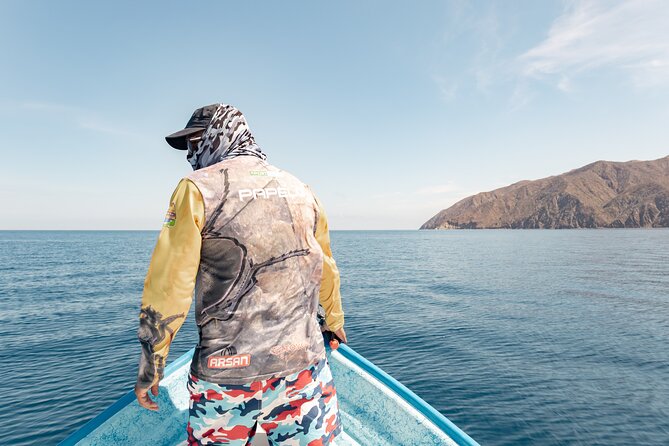 Marine Safari in La Ventana - Key things to know before sailing