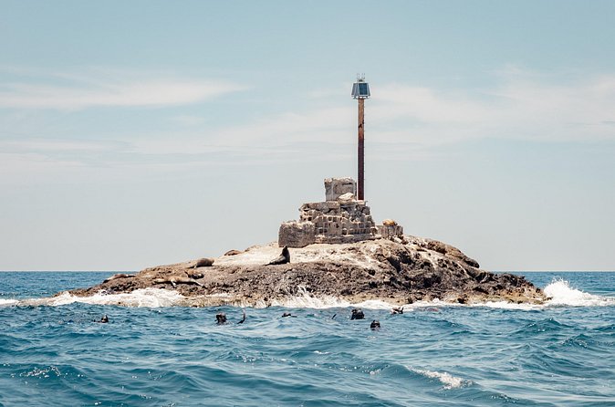 Marine Safari in La Ventana - Conservation is part of the value