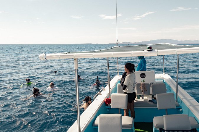 Marine Safari in La Ventana - Is $173.15 a fair price?