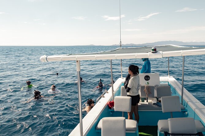 Marine Safari in La Ventana - Searching La Ventana Bay for marine life