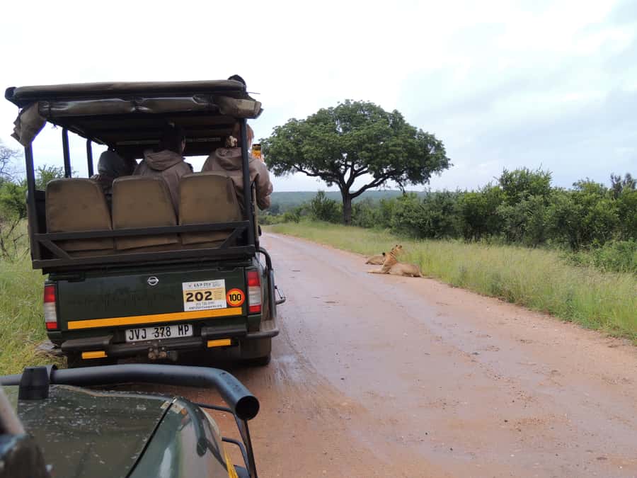 Marloth Park: Kruger National Park Safari Game Drives - Breakfast, the midday pause, and a possible full-day extension