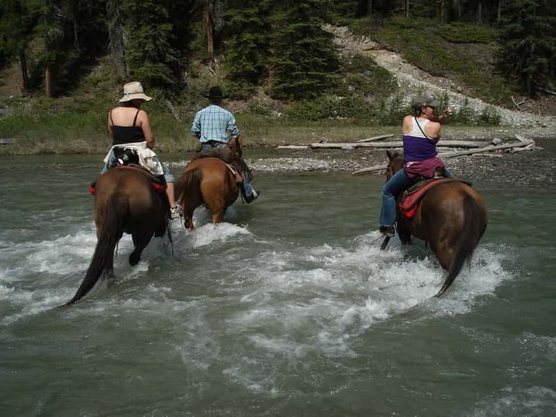 Marmaris: Horse Riding & Safari with Hotel Transfer - Key points before you book