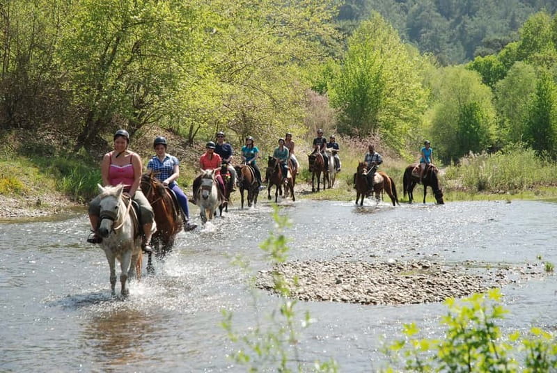 Marmaris: Horse Riding & Safari with Hotel Transfer - From Marmaris hotels to a rural ranch