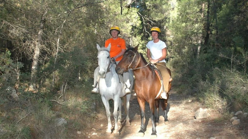 Marmaris: Horse Riding & Safari with Hotel Transfer - Riding through pine forest and orange groves