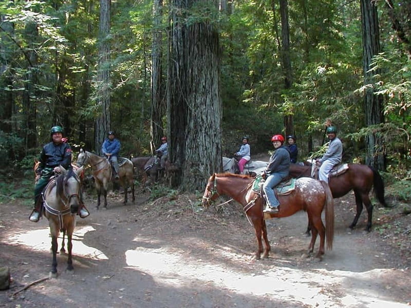 Marmaris: Horse Riding & Safari with Hotel Transfer - Who will enjoy this Marmaris horse safari?