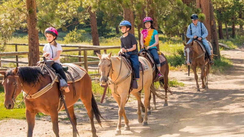 Marmaris: Horse Riding & Safari with Hotel Transfer - Meeting the horses and getting the safety briefing