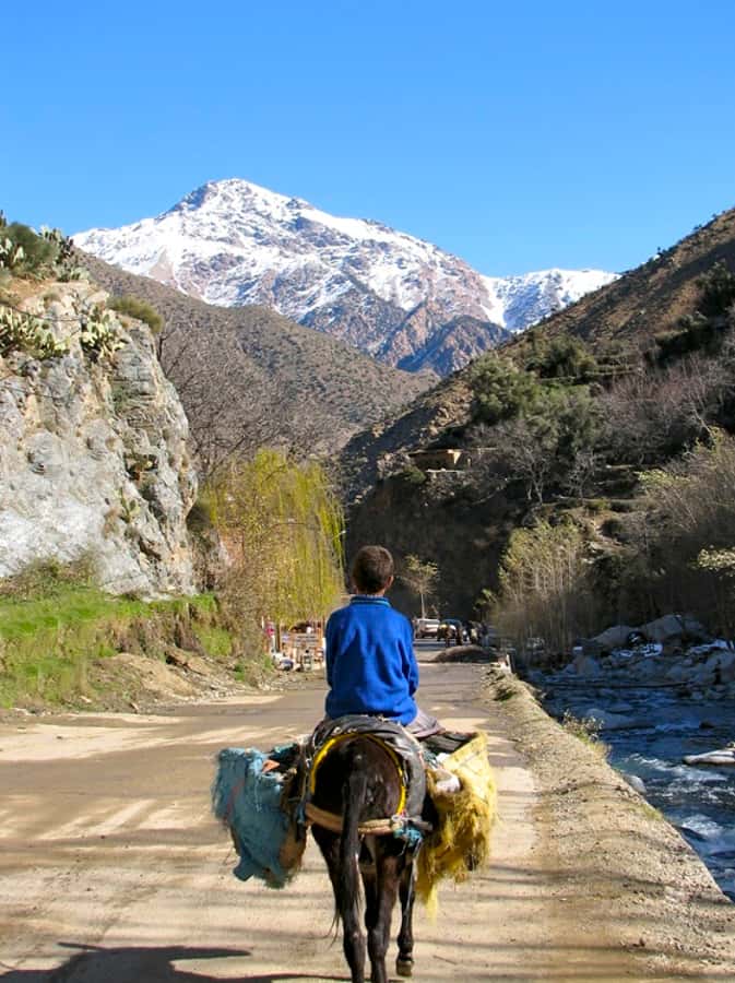 Marrakech: Atlas Mountains and Desert Safari with Lunch - The hike to Armed village and the waterfall