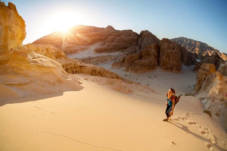 Marsa Alam Bedouin Nights: Jeep Safari, Dinner & Stargazing - Telescope stargazing in a dark desert sky