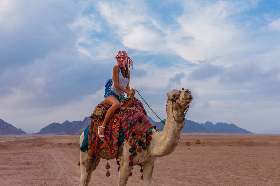 Marsa Alam Bedouin Nights: Jeep Safari, Dinner & Stargazing - Practical concerns about transport and safety