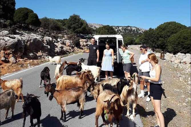 Matala Agiofarago Gorge Guided Jeep Safari Tour - Crossing the Messara Valley to Odigitria Monastery