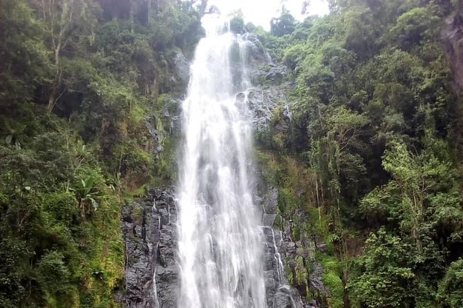 Materuni Waterfalls & Coffee making Cultural Tour | BURIGI CHATO SAFARIS LTD - The Walk to Materuni Waterfalls