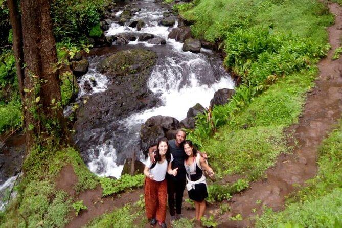 Materuni Waterfalls & Coffee making Cultural Tour | BURIGI CHATO SAFARIS LTD - Picking Coffee and Learning the Chagga Method