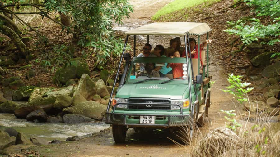 Mauritius: Bel Ombre Nature Reserve 4x4 Safari Adventure - Key points to know before you book