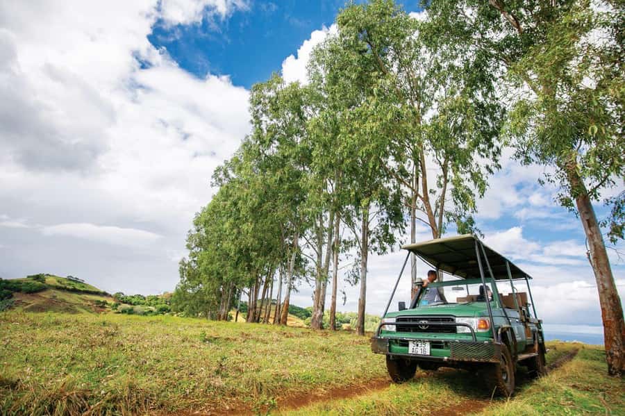 Mauritius: Bel Ombre Nature Reserve 4x4 Safari Adventure - Forest, grassland, and mountain views