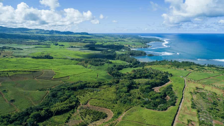 Mauritius: Bel Ombre Nature Reserve 4x4 Safari Adventure - Who should book this outing?