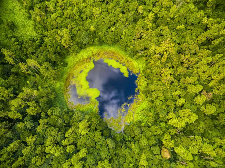 Mauritius: Guided Trip to the Southwest with Safari Tour - A packed route from Curepipe to the southwest