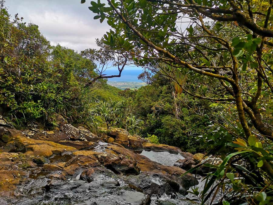 Mauritius: Guided Trip to the Southwest with Safari Tour - The Tulawaka Gold Coaster adds a jolt of speed