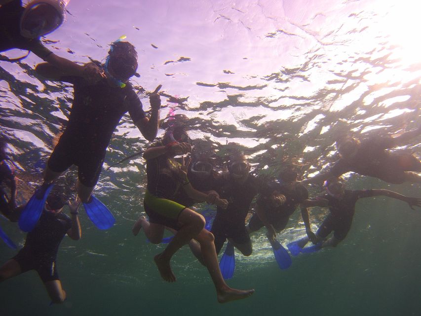 Menorca: Snorkeling Safari Tour - Who Will Get the Most From This Trip