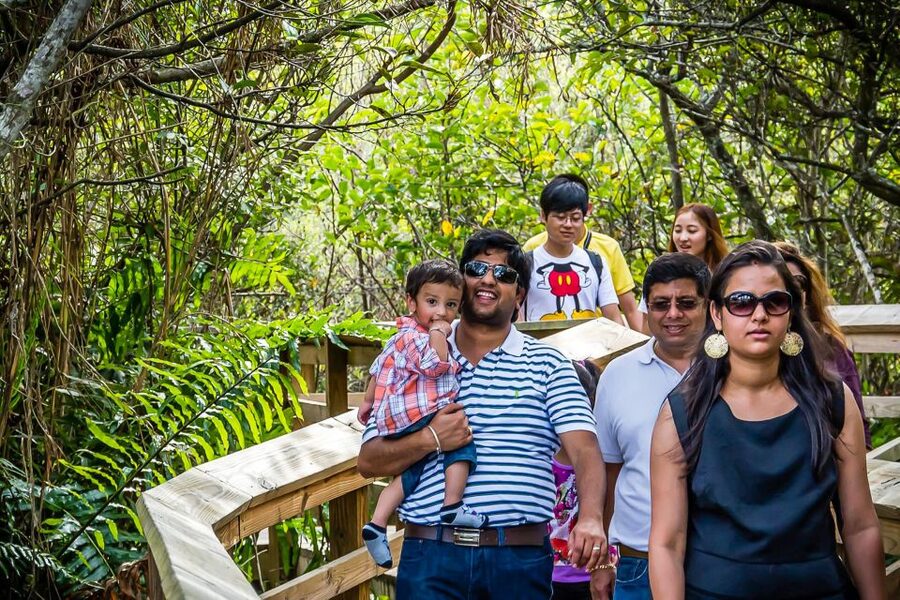 Miami: Everglades Safari Park Airboat Tour - The wildlife show after the boat