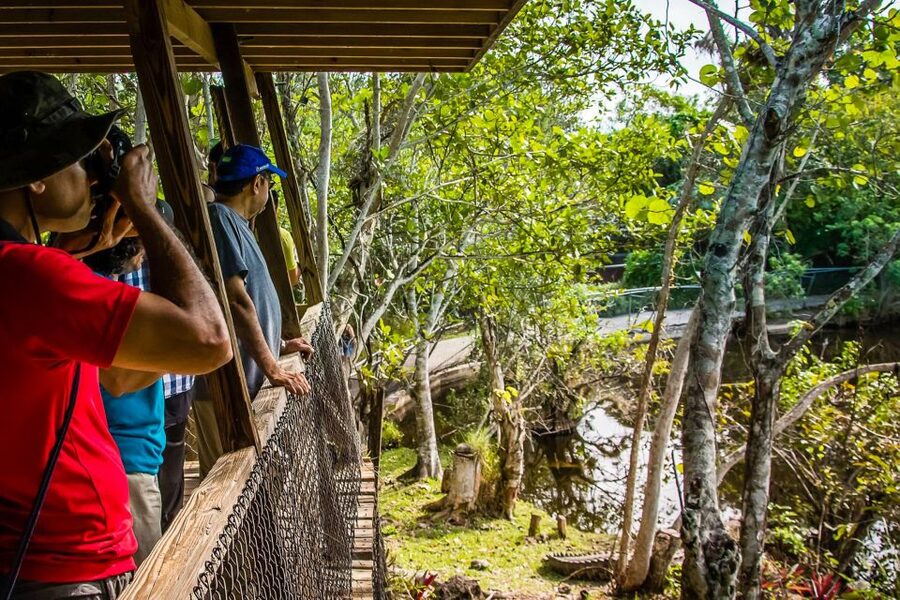 Miami: Everglades Safari Park Airboat Tour - Weather, comfort, and practical limits