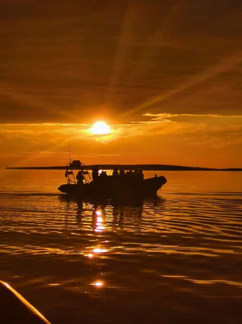 Midnight sun safari - Why the late hour makes this Henningsvær trip special