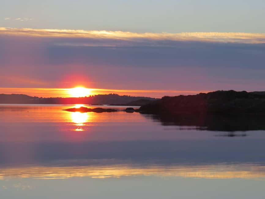 Midnight sun safari - The wildlife search: eagles, seals, puffins, and whales