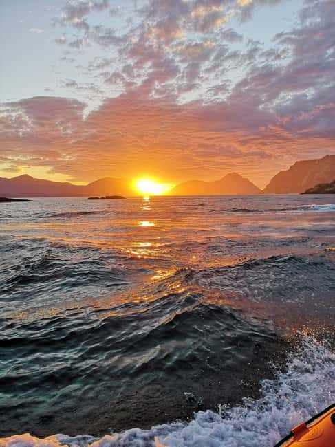 Midnight sun safari - Leaving from Henningsvær’s working harbor