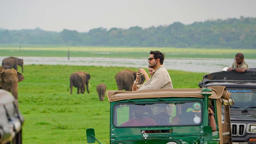 Minneriya: Minneriya National Park Private Evening Safari - What the half-day route feels like