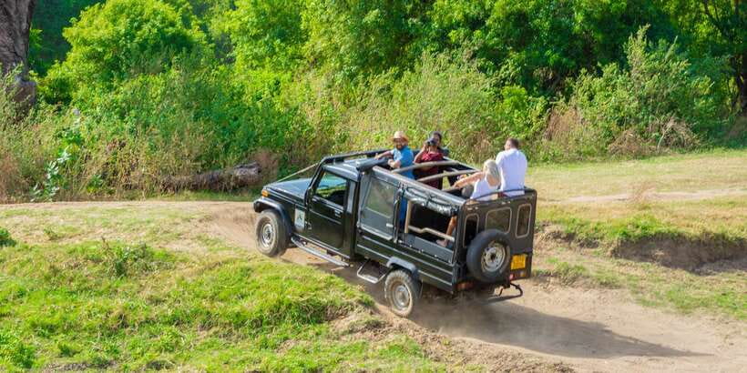 Minneriya: Minneriya National Park Private Safari - The real cost of this safari