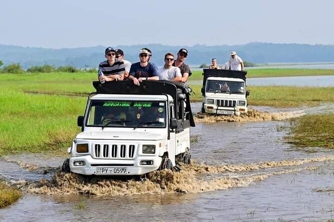 Minneriya National Park halfday Safari - Why Minneriya is famous for elephants
