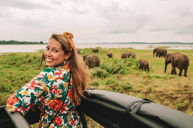 Minneriya National Park | Private Safari - The private jeep makes a difference
