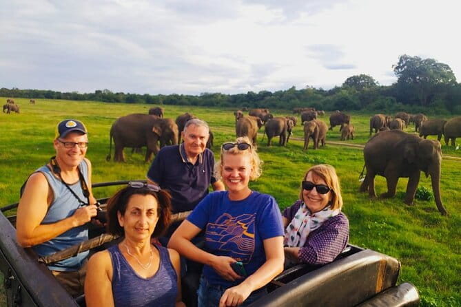 Minneriya National Park Safari [private , full package] - Key things to know before you book