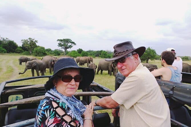 Minneriya National Park Safari [private , full package] - What the private format really gives you