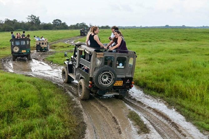 Minneriya National Park Safari [private , full package] - Practical details that affect your day