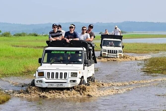 Minneriya National Park Safari - Private Jeep with Hotel Pickup - Morning or afternoon: which should you choose?