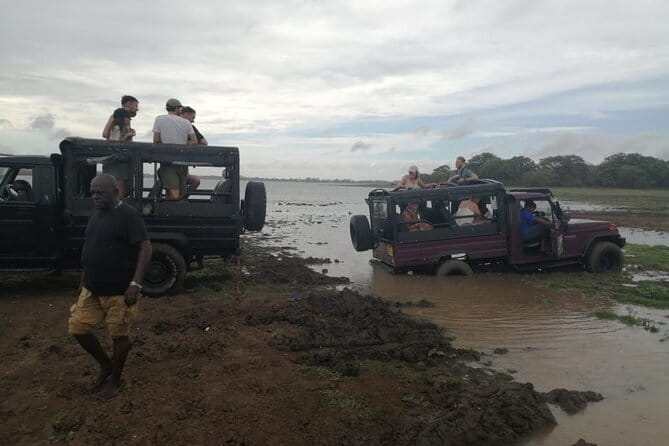 Minneriya National Park Safari - Private Jeep with Hotel Pickup - What the $25 price really means