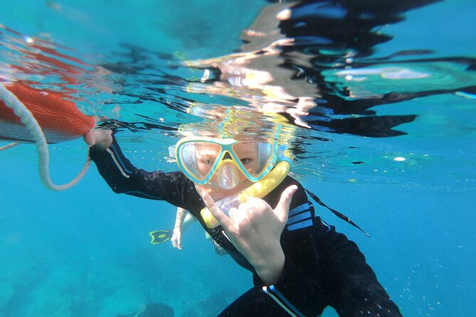 Mobula Ray and Ocean Safari Day Trip - The early Cabo departure and long road transfer